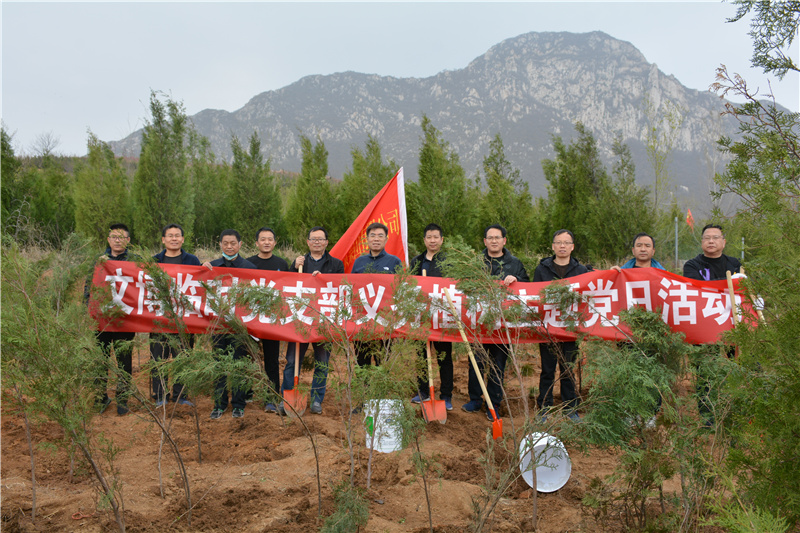 集團公司文博中心項目部臨時黨支部開展義務(wù)植樹主題黨日活動